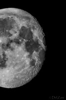 03-29 Early Morning Moon-8