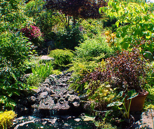 04-01 SDZ Garden Yard JPEGs-036