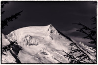 Mt. Baker...Revisted-4