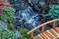 06-18 Backyard Scenes-