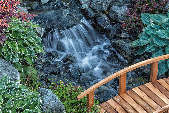 06-18 Backyard Scenes-
