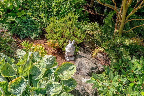 08-17 Shadra Garden 2015 TIFFs--35