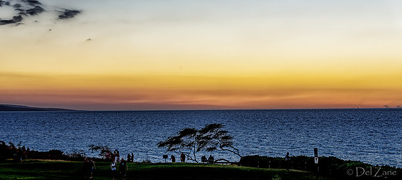 01-31 Kam III Sunset TIFFS--33