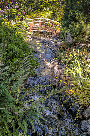 08-17 Shadra Garden 2015 TIFFs--24
