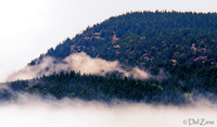 07-11 Fogust-4