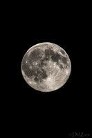 07-11 Super Moon Tiffs--4