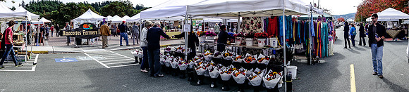 10-05 Farmers' Market-2-6