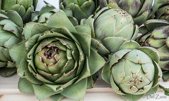 10-05 Farmers' Market--53