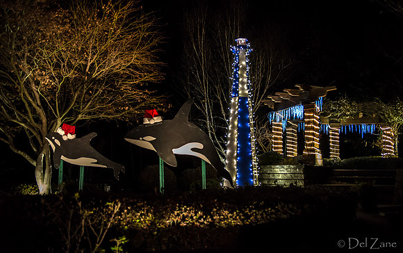 12-03 MH Nighttime Xmas Display--4