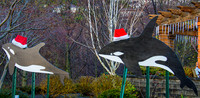 12-12 MH Daylight Xmas Display-6