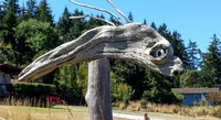 07-27 Biking Lopez Island  JPEGs-113220