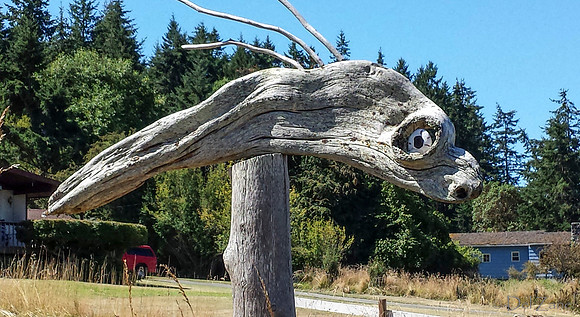 07-27 Biking Lopez Island  JPEGs-113220