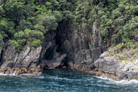 Fiords--17