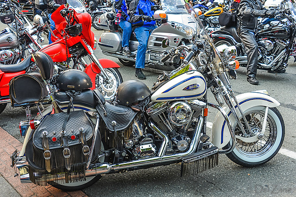 09-23 Oyster Run-79