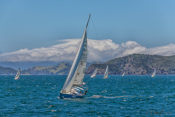 Bay of Islands NZ--14