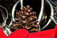 11-25 It's beginning to look a lot like Christmas-7