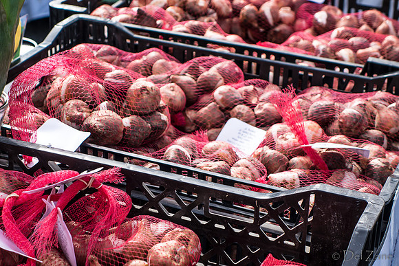 10-05 Farmers' Market--54