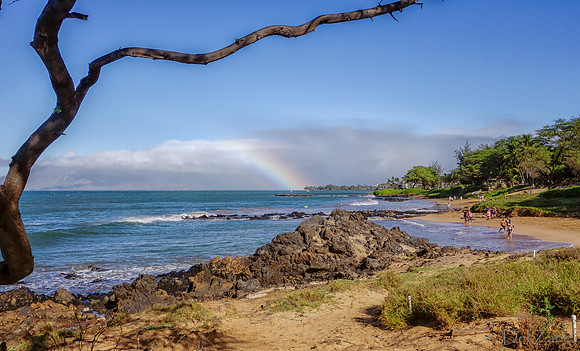 01-25 Maui Rainbow Tiffs--12