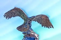 Bronze Eagle-5