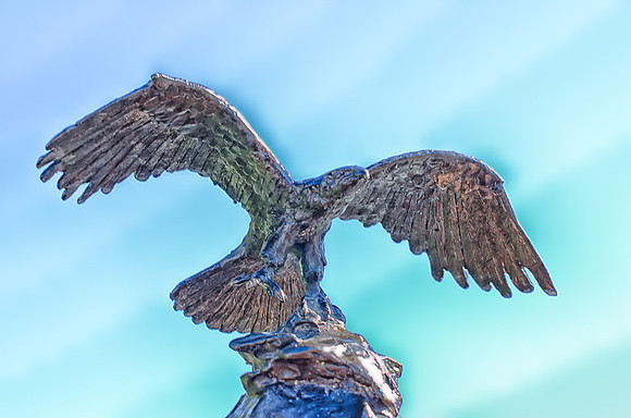Bronze Eagle-5