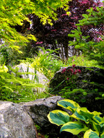04-01 SDZ Garden Yard JPEGs-012