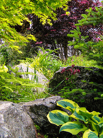 04-01 SDZ Garden Yard JPEGs-012