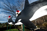 11-27-13  Marine Heights Daytime Xmas Display JPEGs--13