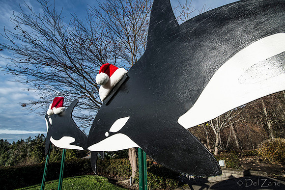 11-27-13  Marine Heights Daytime Xmas Display JPEGs--13