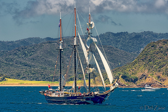 Bay of Islands NZ--22