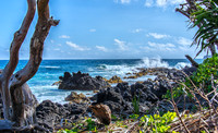 Big Waves from Hana-20