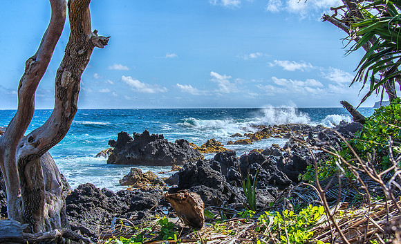 Big Waves from Hana-20
