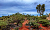 Ayers Rock Scenes-