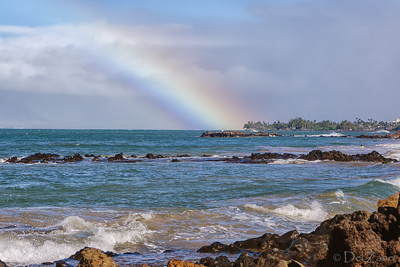 01-25 Maui Rainbow Tiffs--7