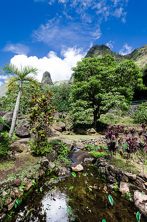 Iao Valley State Park-25