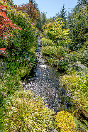 08-17 Shadra Garden 2015 TIFFs--41