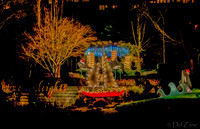 12-13 MH Night Xmas Display-2