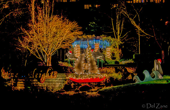 12-13 MH Night Xmas Display-2