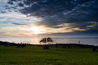 _DSC5517
