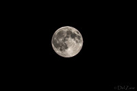07-11 Super Moon Tiffs-