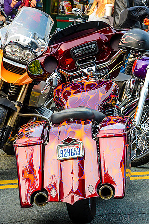 09-23 Oyster Run-78