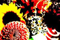 09-19 Colorized Bouquet Bokeh-0301