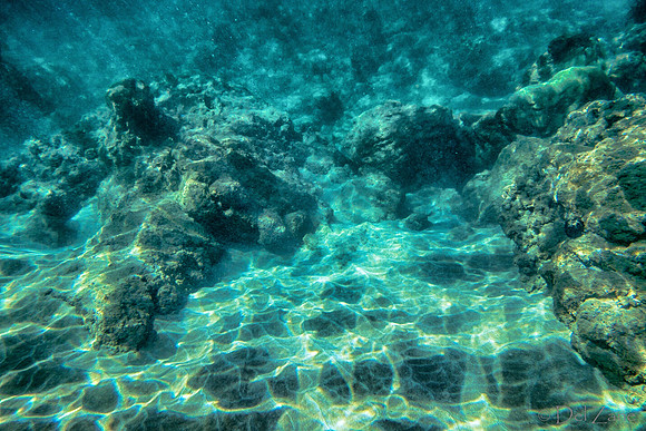 01-18 Makena Underwater TIFFs--25