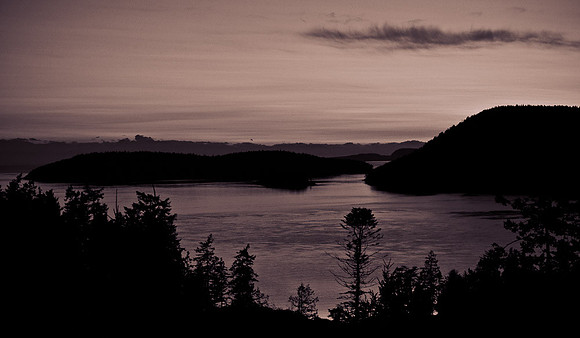 _DSC4275