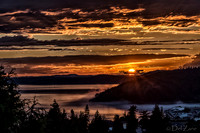 09-03 Fog Veil--19