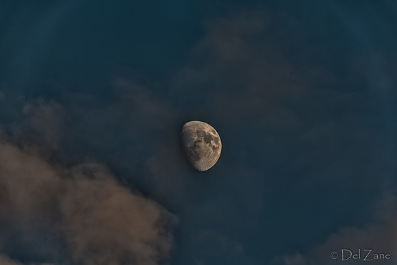 06-18 Backyard Scenes-