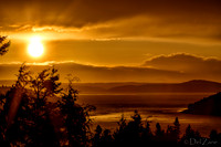 03-22 Golden Sunset Tiffs--2