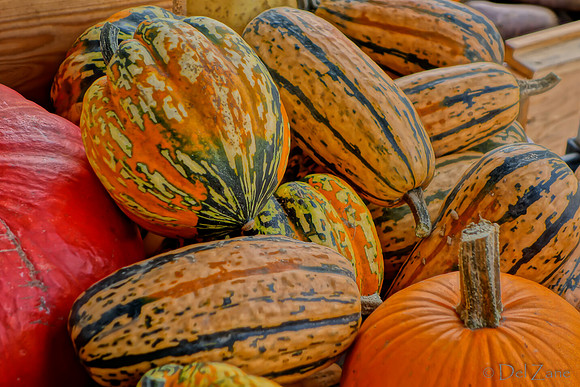 10-05 Farmers' Market--76