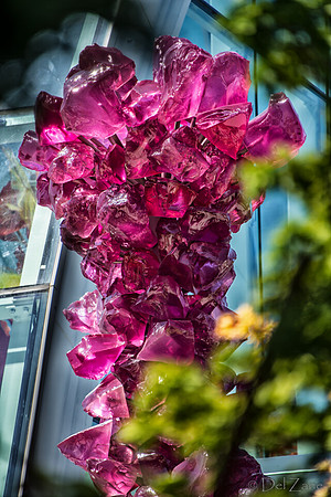 07-03 Seattle Center--11
