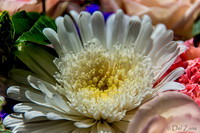 05-03 Macro All 28-300mm D600 Bouquet-