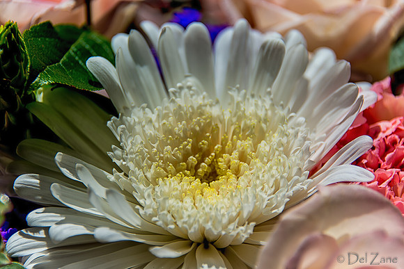 05-03 Macro All 28-300mm D600 Bouquet-